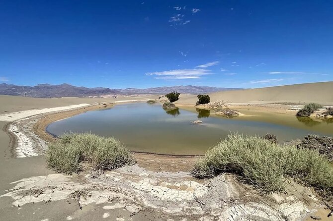 Death Valley on Mojave Desert VIP Small Group Tour From Las Vegas - Guest Reviews and Feedback