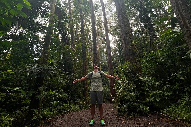 Diamond Head and Manoa Falls Hike and Adventure Tour - Customer Feedback and Reviews