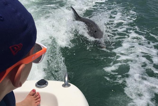 Dolphin Tours - Fort Myers Beach / Naples - Preparing for the Tour