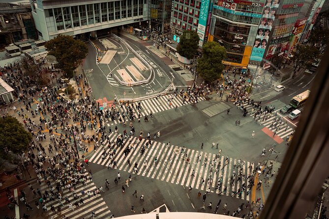 Dynamic Tokyo Private Custom Walking Tour - Transportation and Logistics