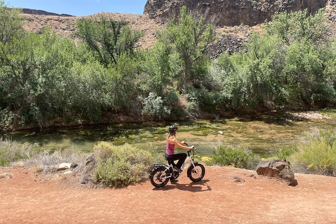 E-Bike Rental - Exploring Zion National Park on an E-Bike