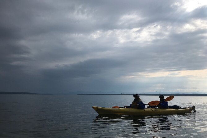 Early Morning Guided Kayak Tour - Preparing for the Tour