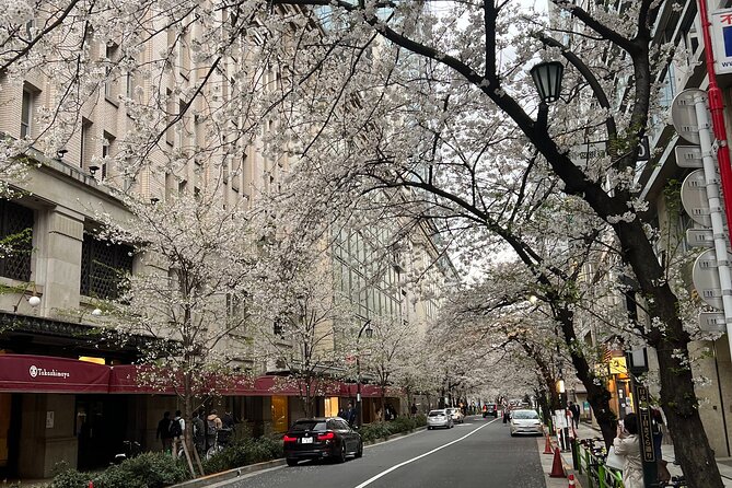 English-Speaking Guided Day Tour of Tokyo With a Private Vehicle - Additional Information