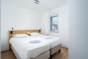 Evancy Equihen-Plage - Company Information and Management