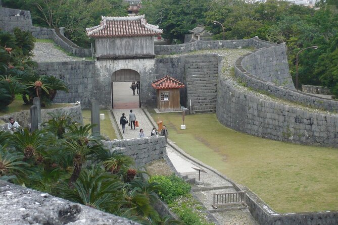 Exclusive Private Full Day Okinawa Island Tour With a Local Guide - Explore the Natural Wonders of the Island