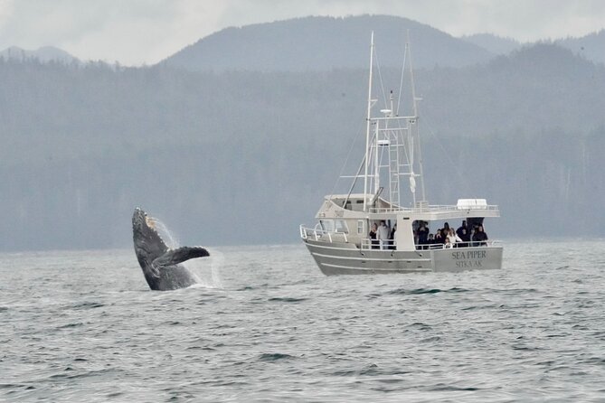 Experience Local Marine Wildlife Tour - Cancellation Policy