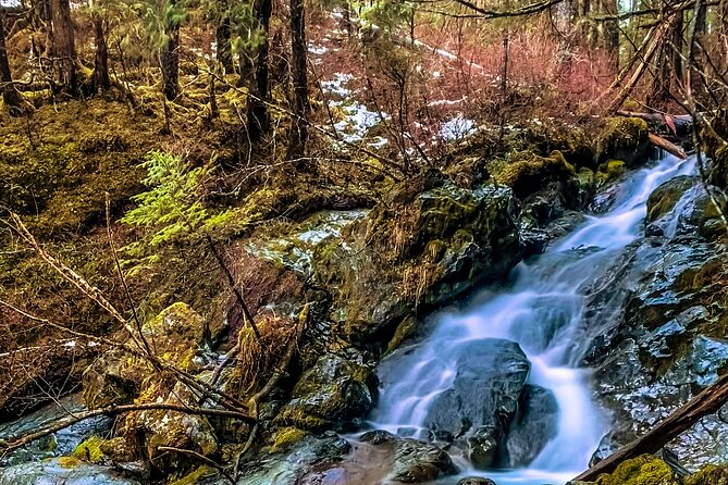 Explore Beyond the Dock: Unforgettable Private Tour in Sitka - Tailoring the Tour to Your Preferences