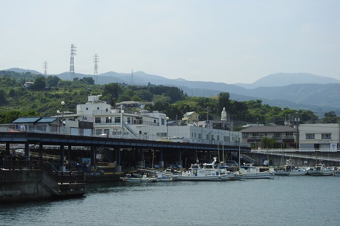 Explore Odawara Castle Samurai Seaside and Traditional Crafts - Tour Schedule and Accessibility