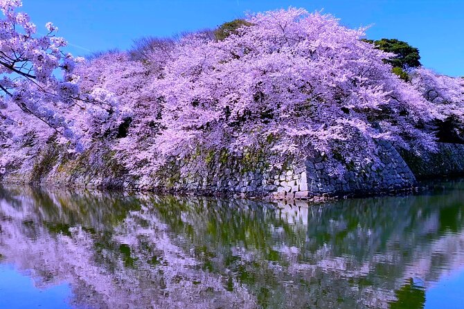 Explore the Historic Castle Town of Hikone From Kyoto - Capturing the Essence of Hikones Architectural Wonders