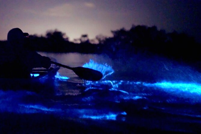 Florida Bioluminescence Clear Kayak Tour | Cocoa Beach (Kiwanis Island) - Marine Life Along the Paddle