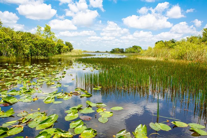 Florida Everglades Airboat Adventure Plus Miami Biscayne Bay Cruise - Tour Inclusions and Exclusions