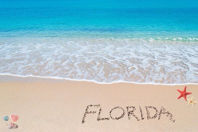Fort Lauderdale Airport Private Transfer to Port Everglades - Special Accommodations Available