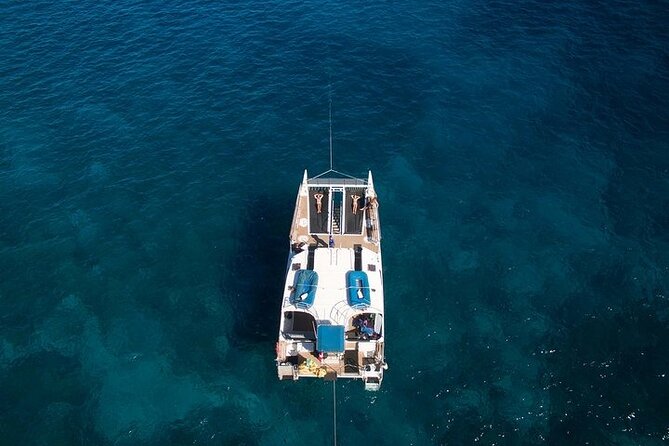 From Maalaea Harbor: Sunset Whale Watch Tour Aboard the Malolo - Booking and Availability