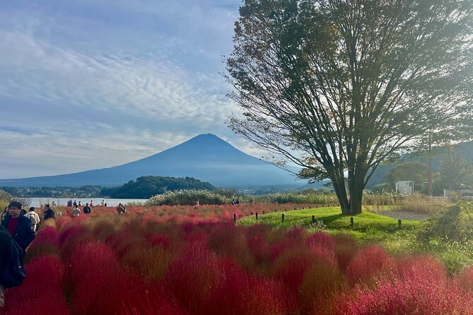 Fuji and Hakone Private Tour With English Guide and Photography - Capturing Breathtaking Moments