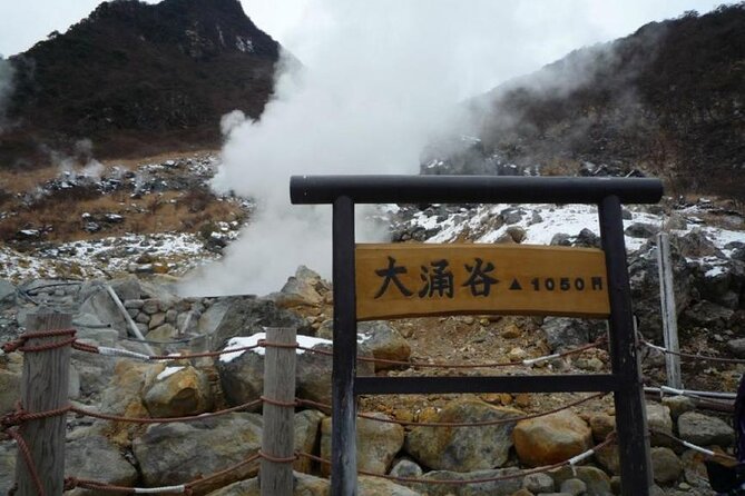 Fuji Day Trip to Hakone Pirate Boat Ropeway Gotemba Outlets - Accessibility and Group Size