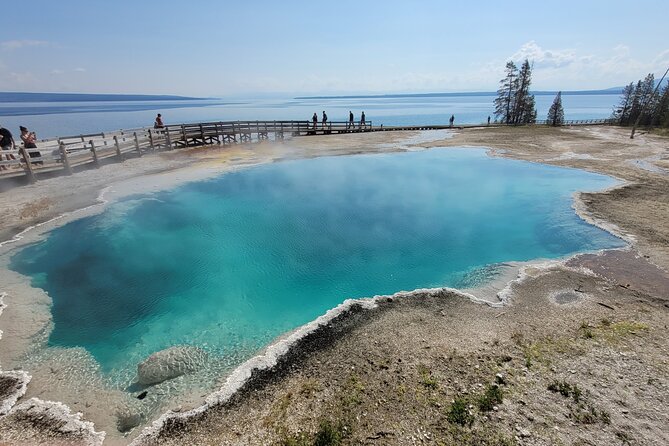 Full-Day Guided Yellowstone Day Tour - Exploring Yellowstones Lower Loop
