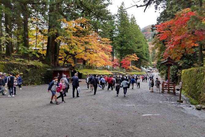 Full Day Nikko Private Tour With Certified Japanese Guide - Why Choose This Tour?