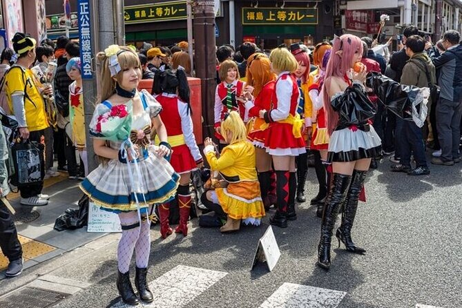 Full Day Private Tokyo Sightseeing Tour - Exploring Tokyos Iconic Landmarks