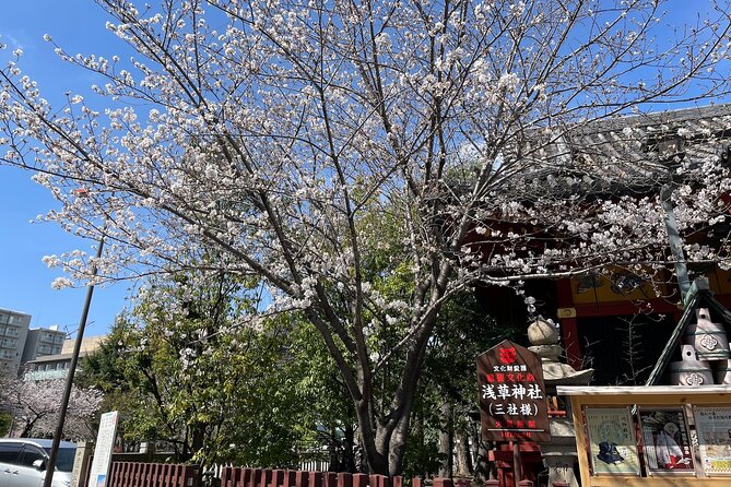 Goshuin Collecting Tour at Asakusa Local Temples & Shrines, Tokyo - Obtaining Omamori Amulets