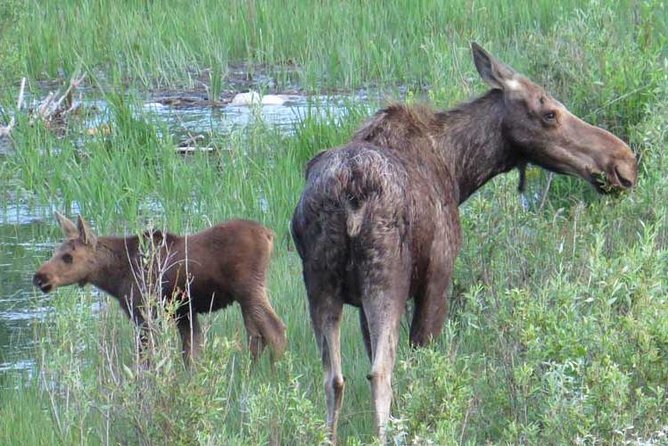 Grand Teton National Park - PRIVATE Full-Day Tour From Jackson Hole - Cancellation Policy and Recommendations