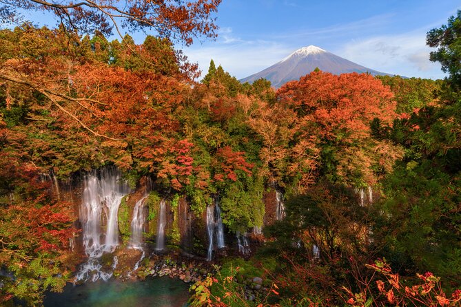 Group 1 Day Tour of Mt. Fuji and Hakone: Onsen, Arts, and Nature - Discover the Wonders of Hakone