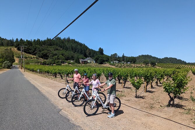 Guided Electric Bike Wine Tour Through Sonoma County - Customer Reviews and Experiences