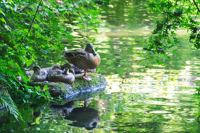 Guided Garden Walk: Nagoya Castle, Gardens & Historic Estate - Meeting and End Point