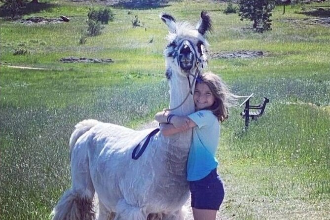 Guided Llama Hike in the Rocky Mountains - Customer Reviews and Feedback