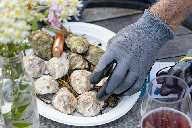 Guided Rooftop Oyster Tasting With an Oyster Sommelier - Booking and Cancellation Policies