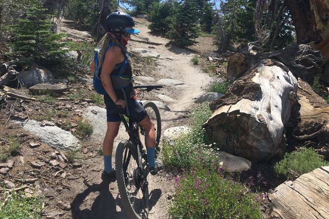 Guided Scenic Bike Experience Above Lake Tahoes East Shore - Preparing for Your Adventure