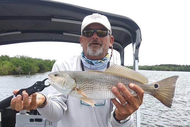 Guided Two Hour Boat Tour of the Indian River Lagoon - Customer Feedback and Highlights