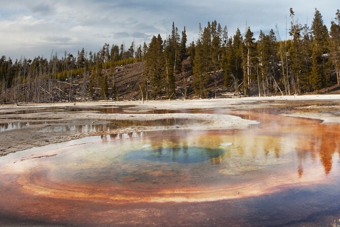 Guided Yellowstone Hot Spring & Geyser Basin Tour - Traveler Reviews and Ratings