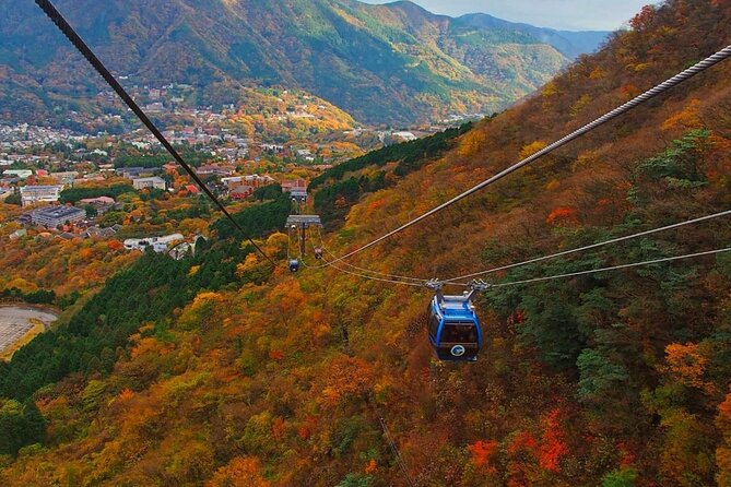 Hakone Private Day Trip With English Speaking Driver From Tokyo - Additional Considerations