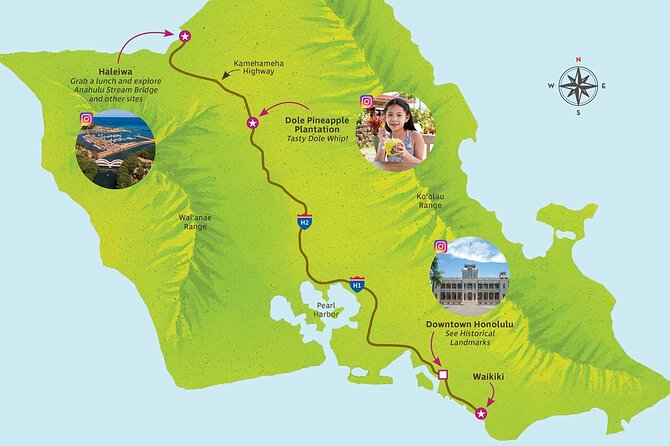 Haleiwa Express & Dole Plantation - What to Expect on the Tour