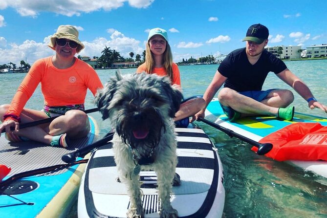 Half Day Excursion to Johns Pass Sandbar & Mangrove Tunnel - Fitness and Accessibility Considerations