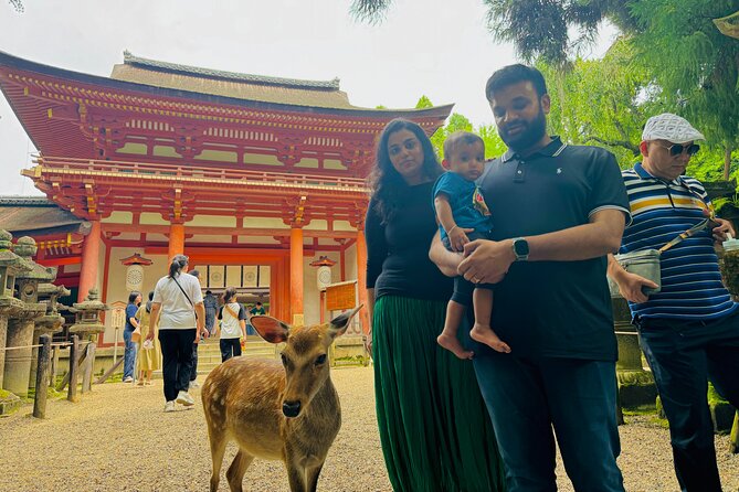 Half Day Nara and Matcha Farm Private Van Tour - Nara: The Ancient Capital of Japan