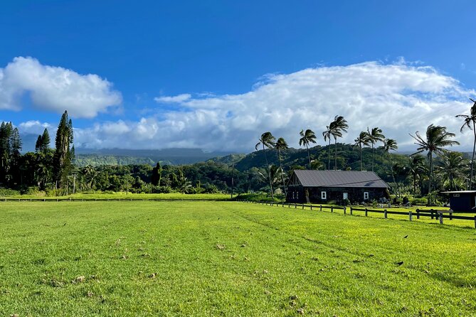 Half Day Private VIP Road to Hana Tour - Breathtaking Landscapes and Sights