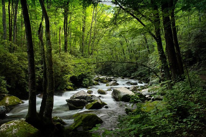 Half-Day Tour With Instruction in Vistas & Waterfall Photography - Skill Development and Confidence