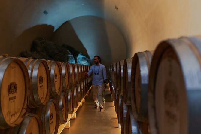 Half Day Wine Tour Around Evora - What to Expect During the Tour