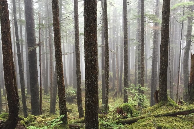 Icy Strait Village Tour and Crab Feast - Guest Reviews and Testimonials