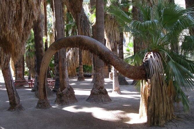Indian Canyons Hiking Tour by Jeep From Palm Desert - Booking Information and Pricing
