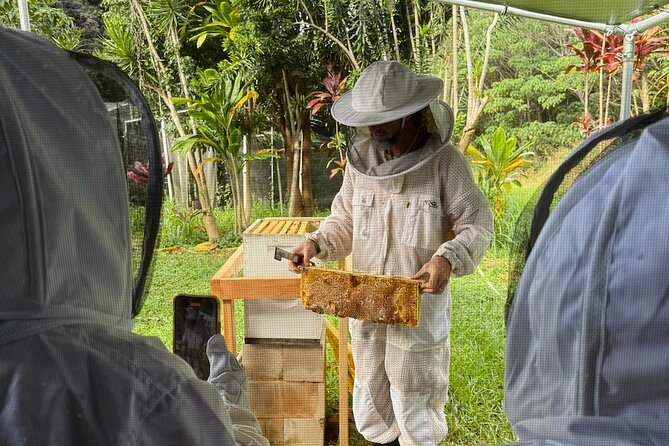 Inside the Hive: Kauai Honey and Bee Tour - Alternative Activities for Families