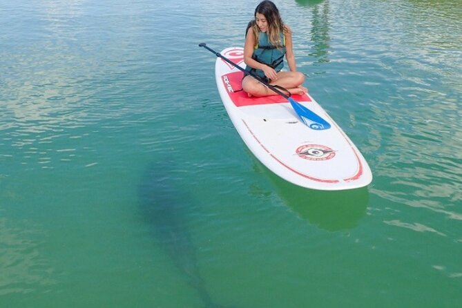Island Tour by Pedal HOBIE / Kayak / SUP - Fort Myers Beach - Tips for a Great Experience