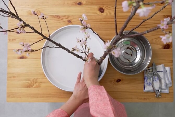 Japans Customs of Ikebana Art, Tea Ceremony & Kimono Welcome - Taking in the Tea Ceremony Tradition