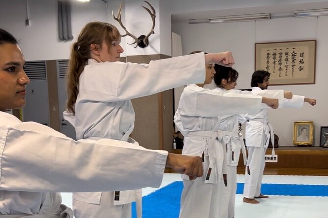 Karate Experience With the Shotokan Karate-Do Instructor - Benefits of the Karate Experience