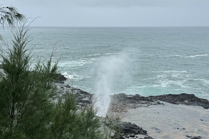 Kauai Shore Excursion - Waimea Canyon Adventure Tour - Nawiliwili - Confirmation and Cancellation Policy