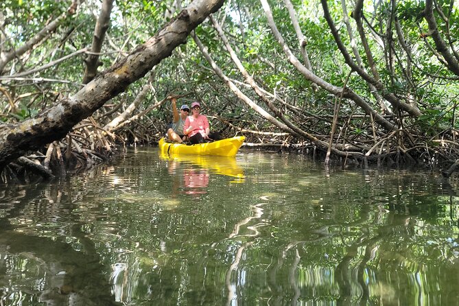 Kayak Through Mangrove Forests in the Florida Keys - Tips for an Unforgettable Kayaking Experience