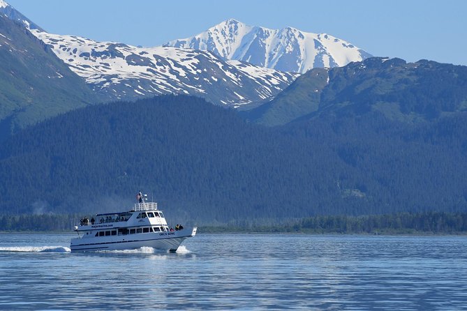 Kenai Fjords Orca Quest Cruise - Cruise Pricing and Booking