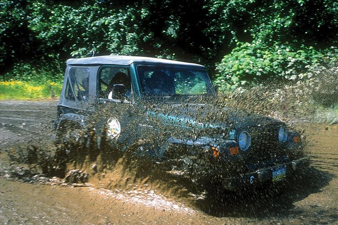 Ketchikan Jeep and Canoe Safari - Contact Information