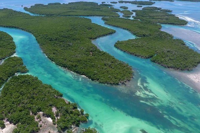 Key West Safari Eco Sandbar Tour Adventure With Snorkeling - Participant Requirements